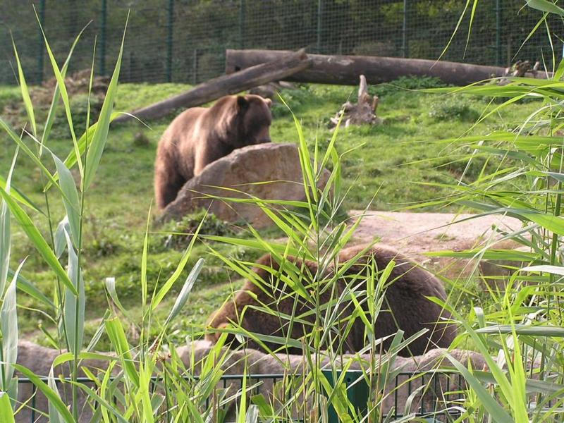 0051 Bielefeld - ZOO.JPG