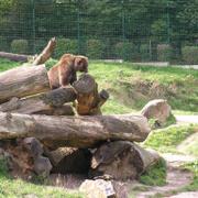 0052 Bielefeld - ZOO.JPG