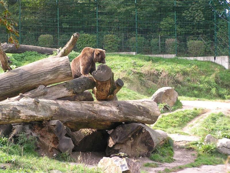 0052 Bielefeld - ZOO.JPG