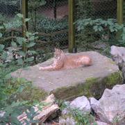 0056 Bielefeld - ZOO.JPG