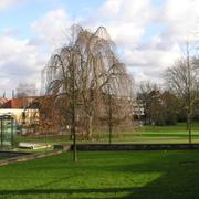 006 Bielefeld - B_rger-park _M_stsk_ park_.JPG