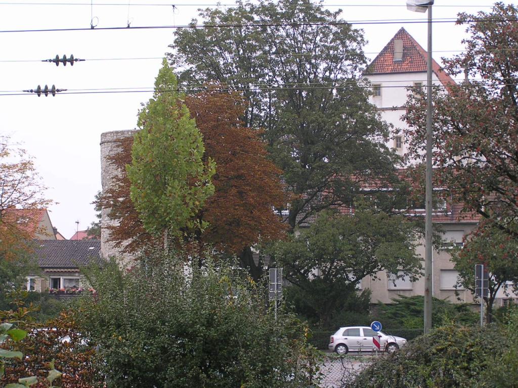 088 Paderborn - Rosen Tor _R__ov_ br_na_.JPG