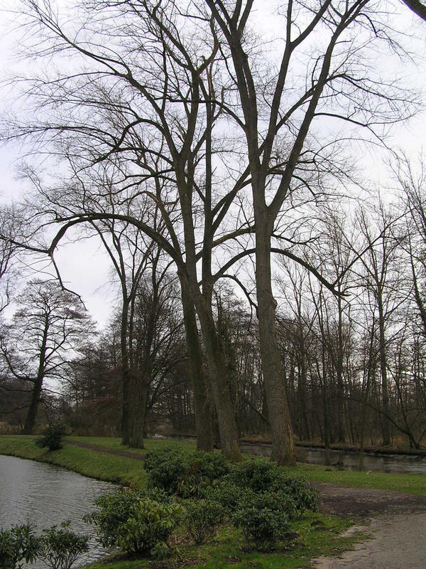 048Rheda-Wiedenbr_ck - Rheda-Wiedenbr_ck - Natur- und Erholungspark Flora Westfalica _P__rodn_ a relaxa_n_ park Flora Westfalica