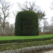 057 Rheda-Wiedenbr_ck - Schlossgarten _z_meck_ zahrada_.JPG