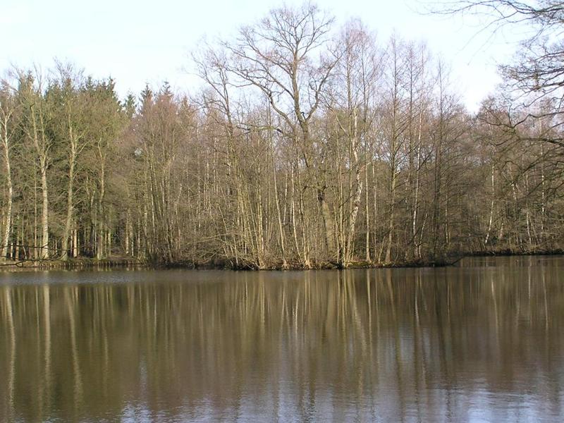 014 Schloss Holte - Sammel-Teich _Sb_rn_ rybn_k_.JPG