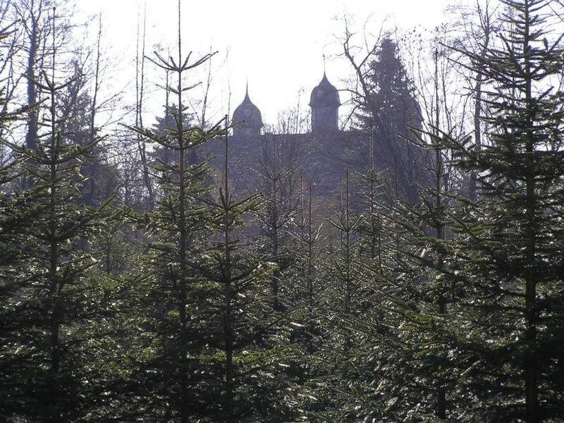 021 Schloss Holte - z_mek.JPG