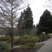 021 Bielefeld - Botanischer Garten _Botanick_ zahrada_.JPG