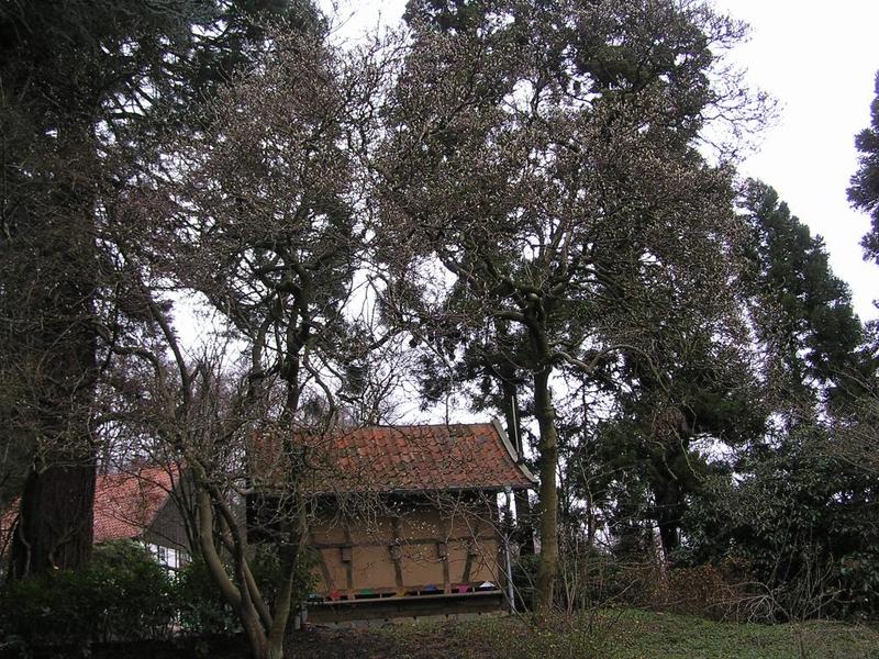 026 Bielefeld - Botanischer Garten _Botanick_ zahrada_.JPG