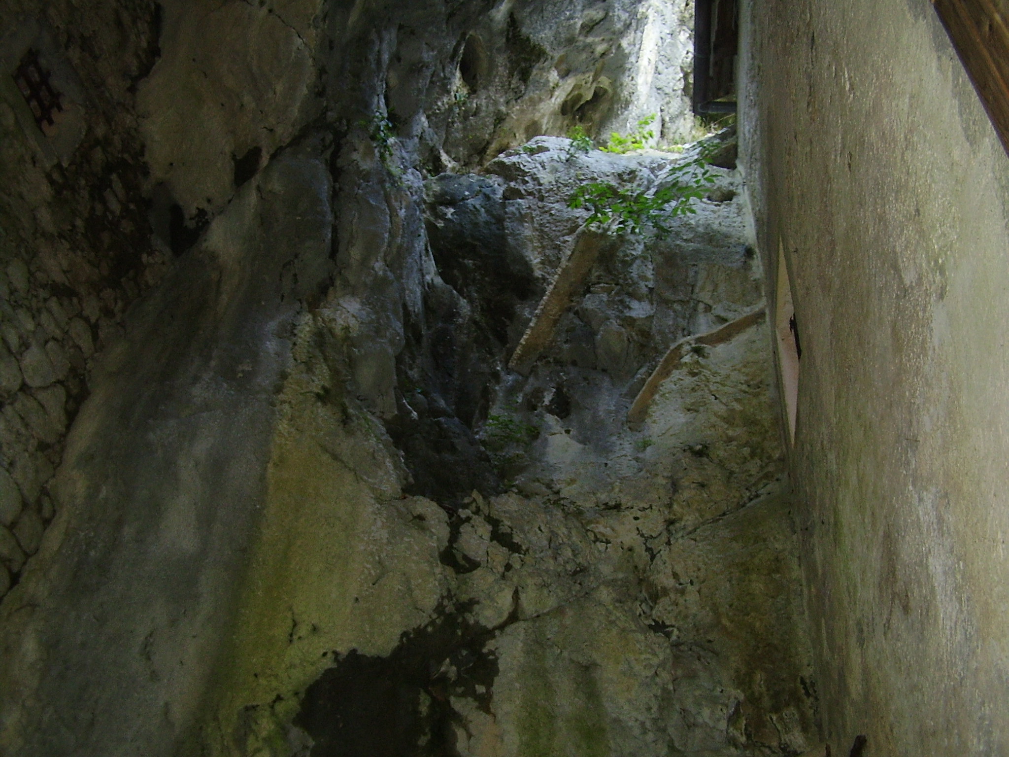 P1010169.JPG