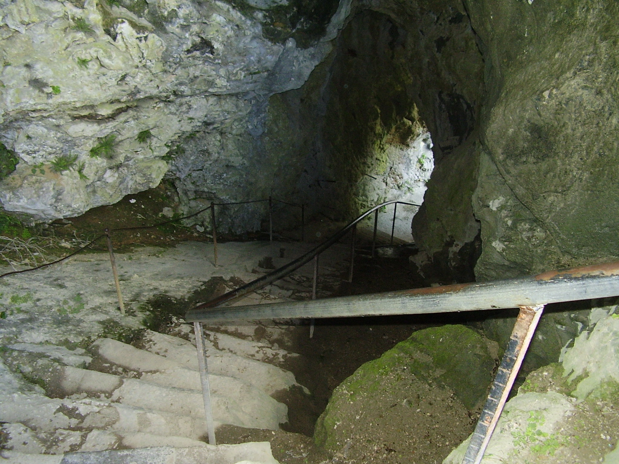 P1010189.JPG